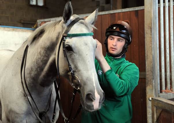 Brian Toomey with Kings Grey in Middleham last year.