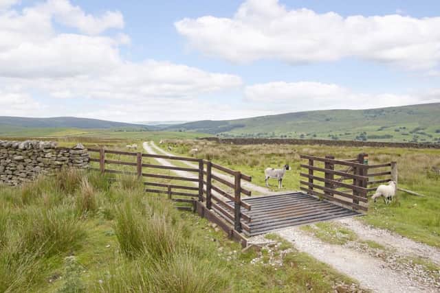 Sir Patrick often imagines walking up this track to his idyllic Dales home