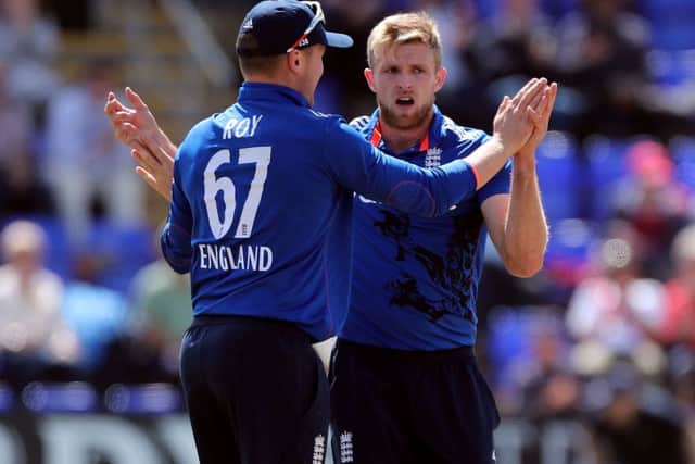 David Willey celebrates one of four wickets against Sri Lanka in Cardiff.