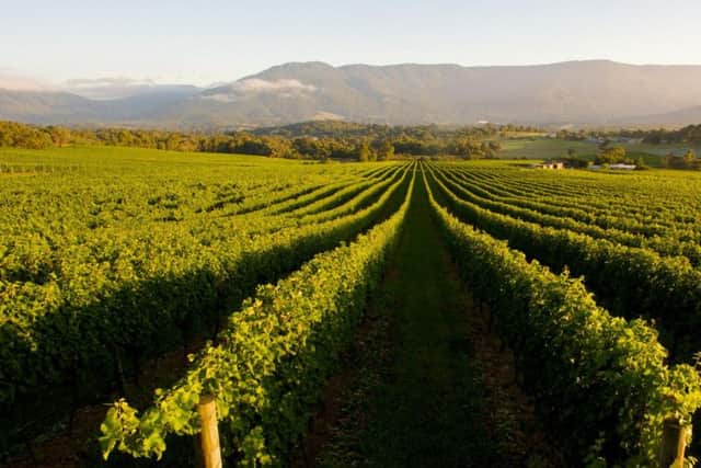 Jamie Goodhart got his real first taste of wine working on an Australan vineyard.