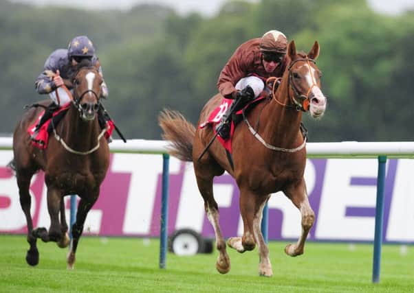 Top Notch Tonto, ridden by Dale Swift, on its way to winning the betfred.com Superior Mile at Haydock Park (Picture: Anna Gowthorpe/PA Wire).