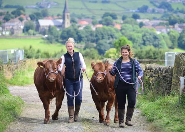 Kelly Jowett and her daughter Fiona with their show cattle on their farm in Queensbury.  Picture: Scott Merrylees.