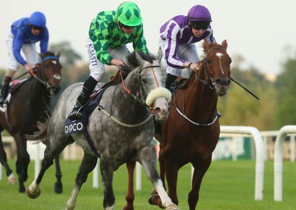 The Grey Gatsby, ridden by Ryan Moore, is pictured triumphing in Ireland ahead of Australia (Picture: Niall Carson/PA).