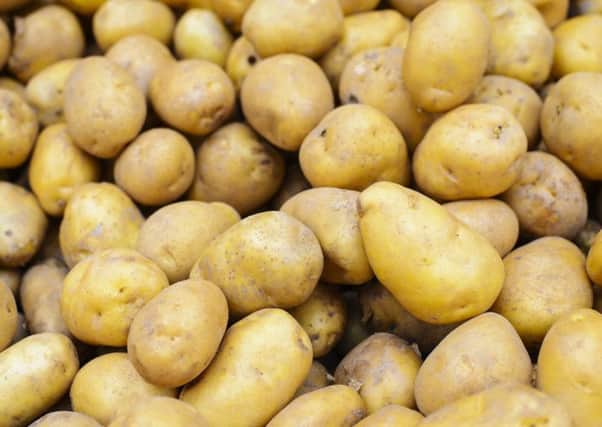 Potato growers are being offered long-term contracts by Tesco. Pic: PA
