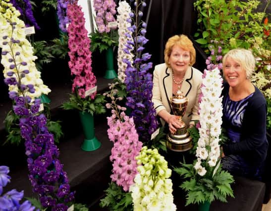 120716  Jenny Hirst from Swillington near Leeds  from the Delphinium Society winners of the Doncaster Cup  for the best stand in the garden show  at the  Great Yorkshire Show in Harrogate  being presented with the trophy by Carol  Klein from BBC TV .