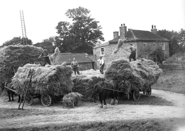 Goldsborough, 31st August 1945

Stacking the Harvest.

Farming