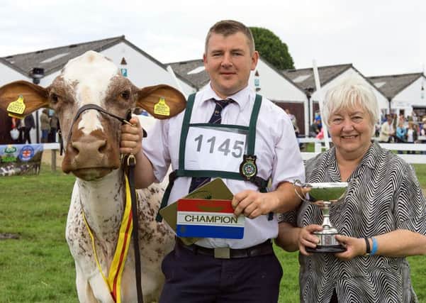 The supreme dairy champion, a Shorthorn known as Churchroyd Peggy owned by IRG Collins & Partners pictured with Ian Collins & Mary Collins from Dewsbury.