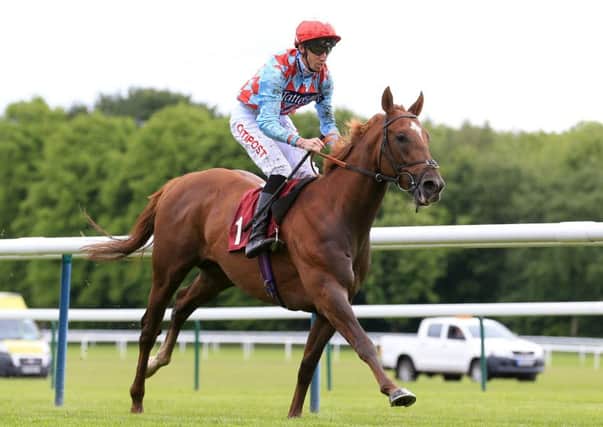 Red Verdon wins the Choice Teachers Handicap at Haydock Park in May this year. Picture: Tim Goode/PA