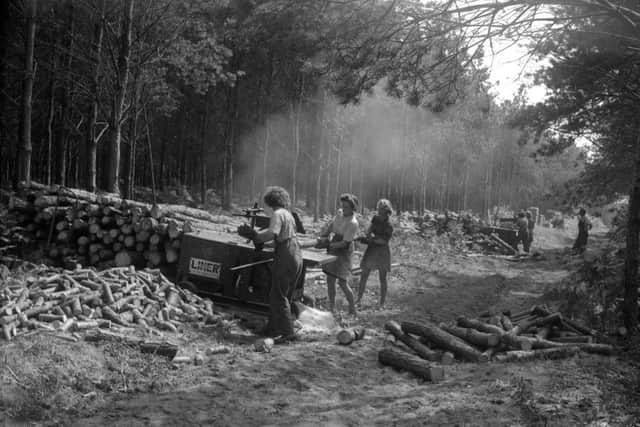 Lumberjills at work during the Second World War.