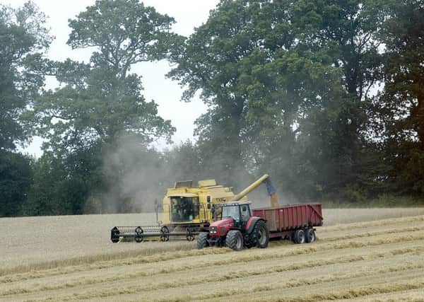 A combine harvester in action.