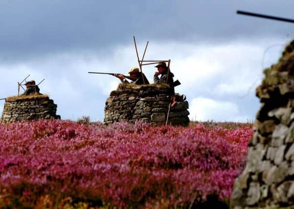The Grouse shooting season begins amidst bright purple heather, seen here on the Moors above Leyburn, North Yorkshire. (John Giles/PA Wire).