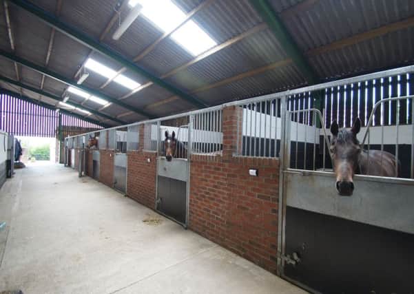 For sale: Arthington Barn stables is a successful training yard in an idyllic spot, near Helmsley. It is on the market at Â£1.45m with www.robinjessop.co.uk