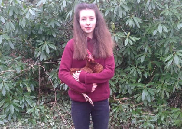 Sheffield schoolgirl Lucy Gavaghan, aged 14, has set up a petition calling on Tesco to end the sale of eggs from caged and barn kept hens which has gained over 76,000 signatures in two weeks.