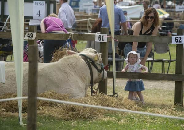 Against the background of Driffield Show, talk was dominated by Brexit.  Picture: James Hardsity