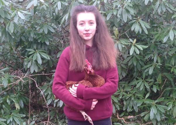Sheffield schoolgirl Lucy Gavaghan, 14, set up a petition to end the sale of eggs from caged and barn hens