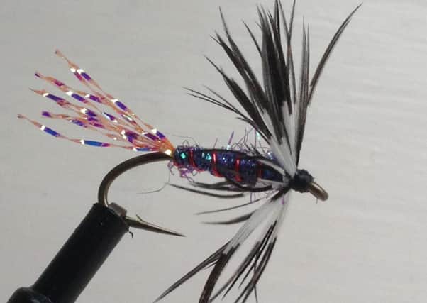 Roger Beck's Reeve's Revenge fly, dressed by Stephen Cheetham.