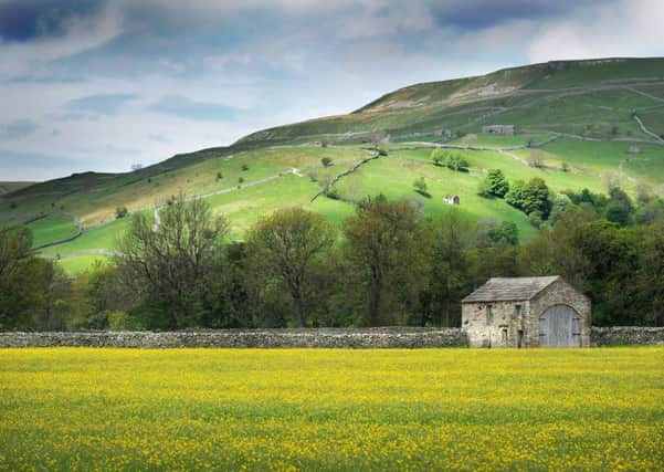Three more roadside barns can be converted in the Yorkshire Dales following the latest deliberations by the Yorkshire Dales National Park Authority's Planning Committee.  Picture: Bruce Rollinson.