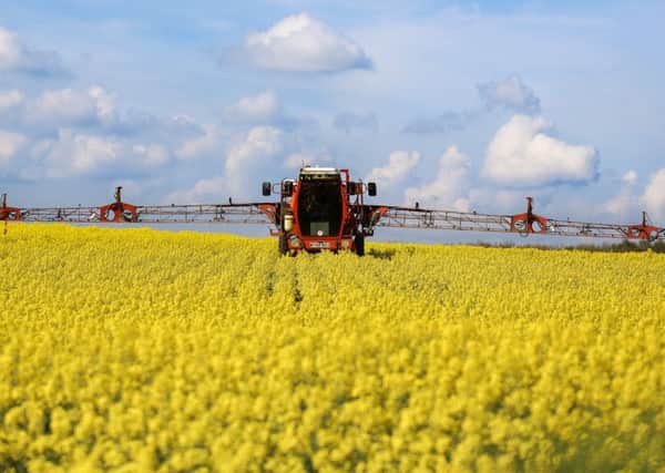 Glyphosate has helped to protect crops.     Picture: Ross parry