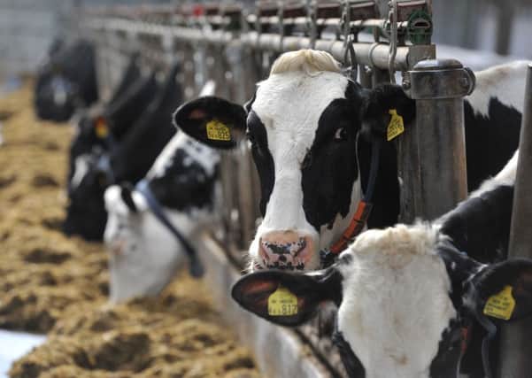 The NFU believes Muller should be following positive market signals after the processor announced it was holding its farm gate milk price.