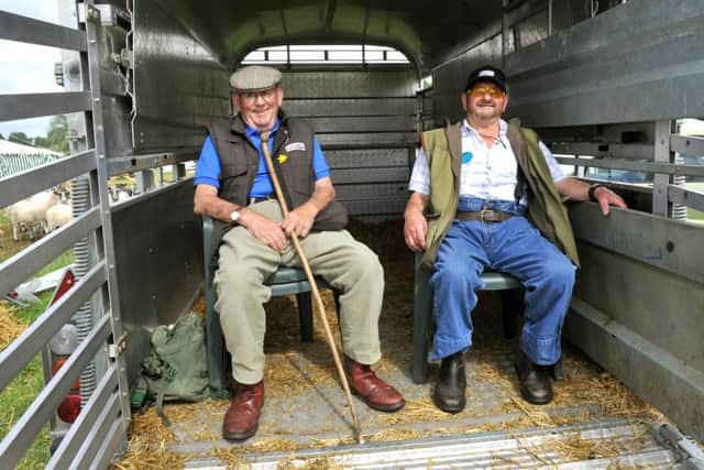 Sheep stewards Sandy Beaton from Appleton Roebuck (left) and George Redpath from Dacre (right) take a break from the action in a sheep transporter.