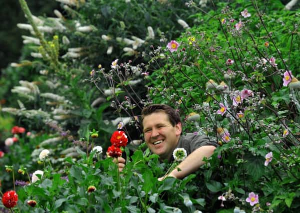 Amongst the foliage is Sam Shipman, the new Head gardener at  Beningbrough Hall near York.
Picture: Gary Longbottom