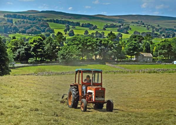 Farming near Grassington. Many Labour activists 'seem to regard the countryside as naturally Conservative'. Picture: Tony Johnson.
