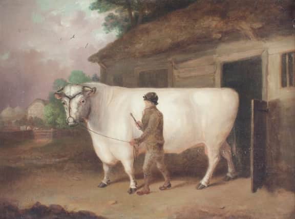 PRIME BEEF: John Pitmans portraits of the Apperley ox and bull fetched Â£6,500 and Â£5,500 respectively at Chorleys.