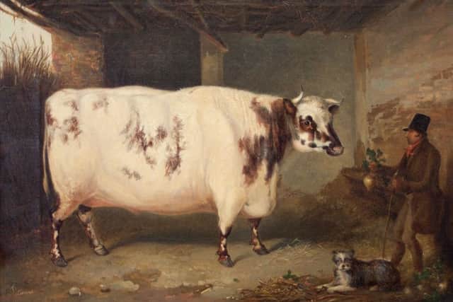 PRIME BEEF: John Pitmans portraits of the Apperley ox and bull fetched Â£6,500 and Â£5,500 respectively at Chorleys.