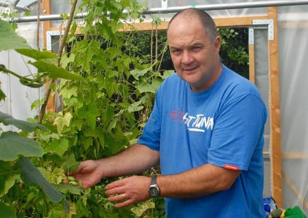 Mark Thompson, harvesting the cucamelons, aims to spread the word on farming.  Picture: Charlotte Richardson