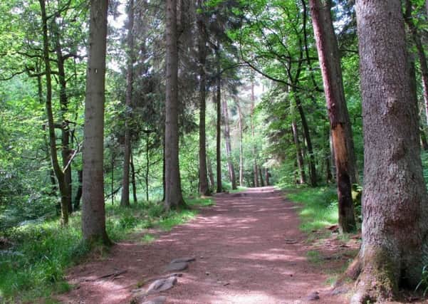 One of the paths through the woodland at Hardcastle Crags