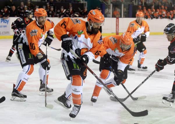 Mathieu Roy in action for the Steelers against Aalborg on Sunday night. Picture: Chris Etchells