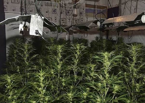 The cannabis farm uncovered by Humberside Police in Hornsea.