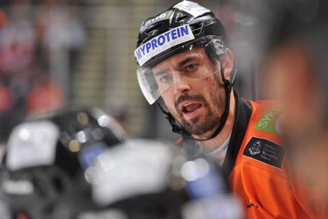 BACK FOR MORE: Sheffield Steelers' defenceman, Rod Sarich. Picture: Dean Woolley.