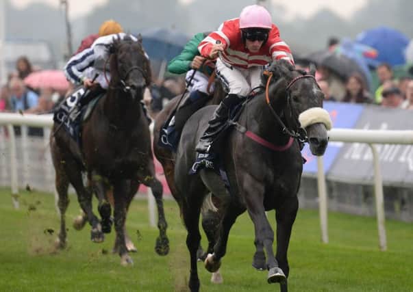 Mecca's Angel ridden by Paul Mulrennan wins the Coolmore Nunthorpe Stakes during day three of the Ebor Festival at York. Picture: Anna Gowthorpe/PA.
