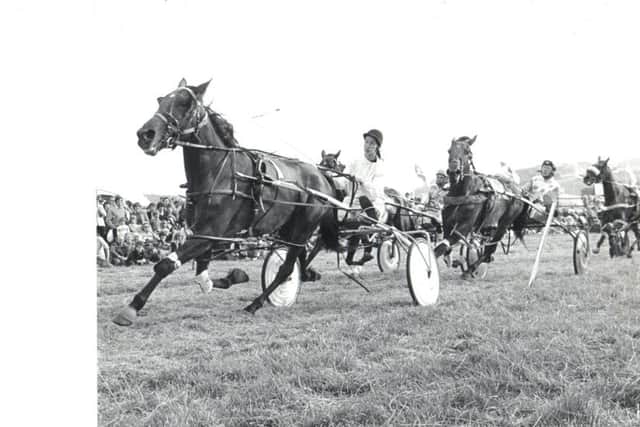 Warming up for the harness racing in the 1980s
