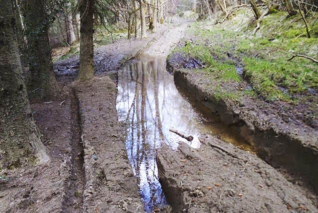 Ruts fill with water making green lanes unpassable.
Picture: North York Moors Green Lanes Alliance