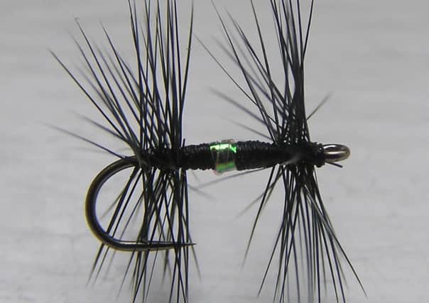 The knotted midge, now known as the bleeping midge, solved the trout catching problem. Flies dressed by Stephen Cheetham