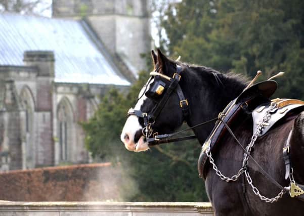 New to Sledmere House next weekend is an event called the Festival of the Horse which is taking place to celebrate all things horses and to raise money for the Riding for the Disabled charity.
