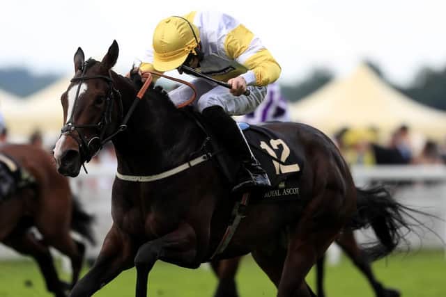 Quiet Reflection ridden by jockey Dougie Costello on the way to winning the Commonwealth Cup at Ascot. Picture: David Davies/PA