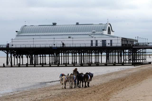 The pier at Cleethorpes is up for sale. Picture by Simon Hulme