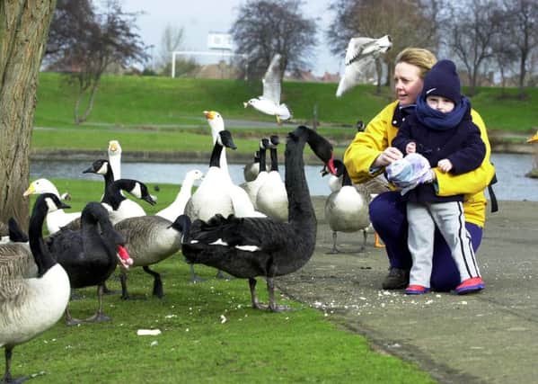 Feeding the ducks and swans in Sandall Park are mother and son Andrea Marsh and Callum, aged three, of Sprotbrough.