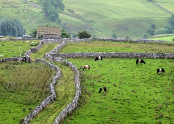 Historical links between farming and the Dales landscape are being scrutinised by a team of researchers as part of the new 'Voices from the Land' project.