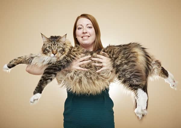 Ludo the Maine Coon from Wakefield in South Yorkshire with owner Kelsey Gill as they appear in this year's Guinness World Records.