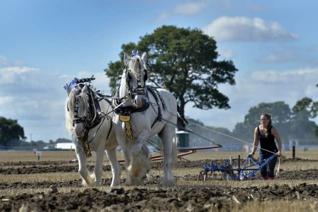 Bryony Gill from St Austell, Cornwall, competing in the Horse Ploughing with Rushton Hornsby Angel and Bravelad.