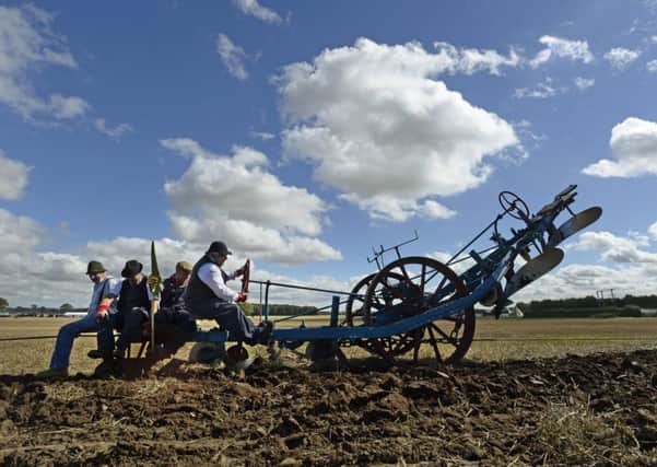 The 63rd World Ploughing Contest is taking place near York.  Pictures: Bruce Rollinson