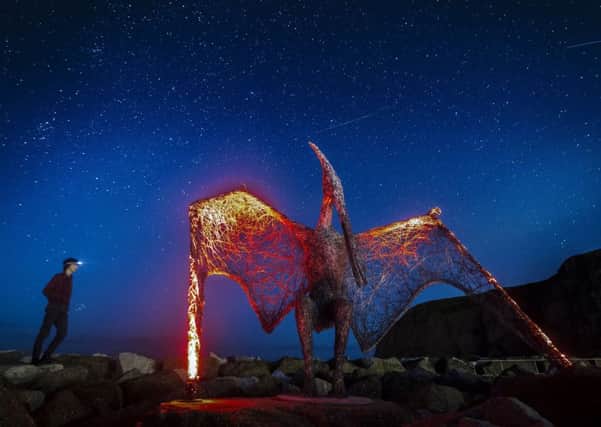 A man views a wire sculpture of a pterodactyl by artist Emma Stothard, under a star filled sky, part of the Staithes Festival of Arts and Heritage in North Yorkshire. PIC: PA