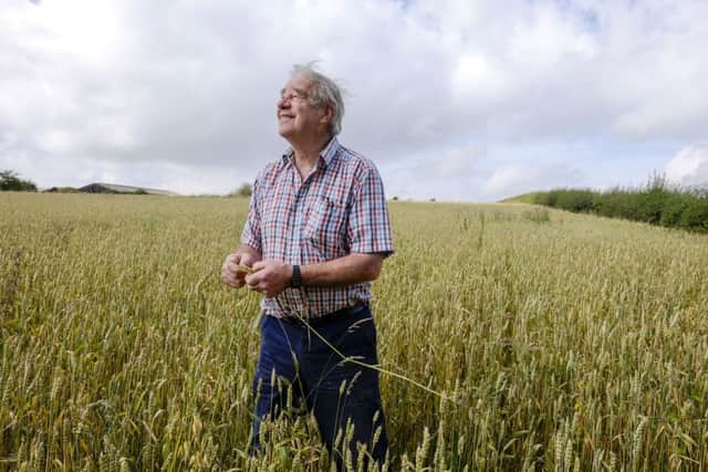 The journey of an artisan loaf begins with farmer Philip Trevelyan. Picture: Tony Bartholomew
