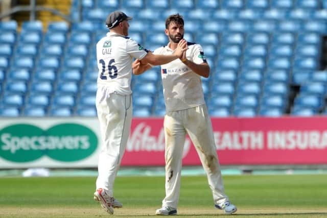 Yorkshire's Andrew Gale celebrates with Liam Plunkett, after the bowler took the wicket of Somseret's Marcus Trescothick.
 Picture : Jonathan Gawthorpe
