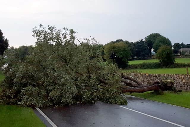 A fallen tree blocks Long Lane, in Worrall, Sheffield during a thunderstorm, as whilst most of the UK soaks up the sun on the hottest day of the year, parts of the north are being blighted by torrential downpours and storms.