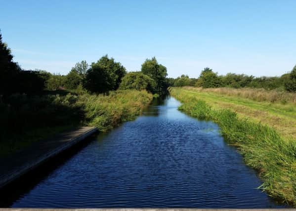 A dog walk beside Pocklington Canal became quite an adventure.